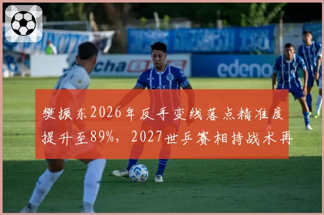 樊振东2026年反手变线落点精准度提升至89%，2027世乒赛相持战术再升级？