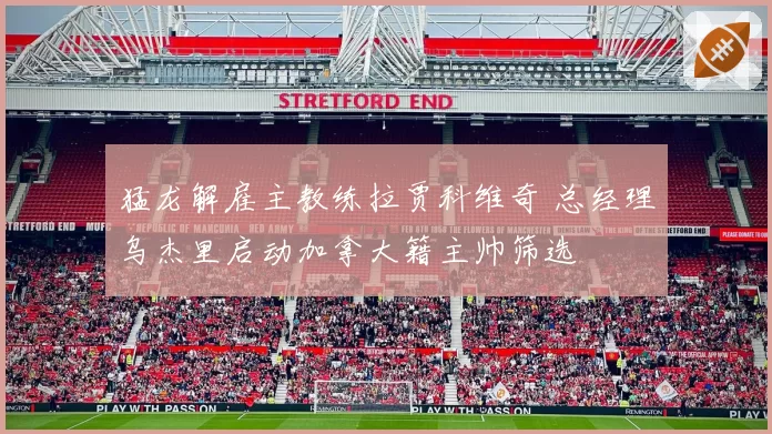 猛龙解雇主教练拉贾科维奇 总经理乌杰里启动加拿大籍主帅筛选